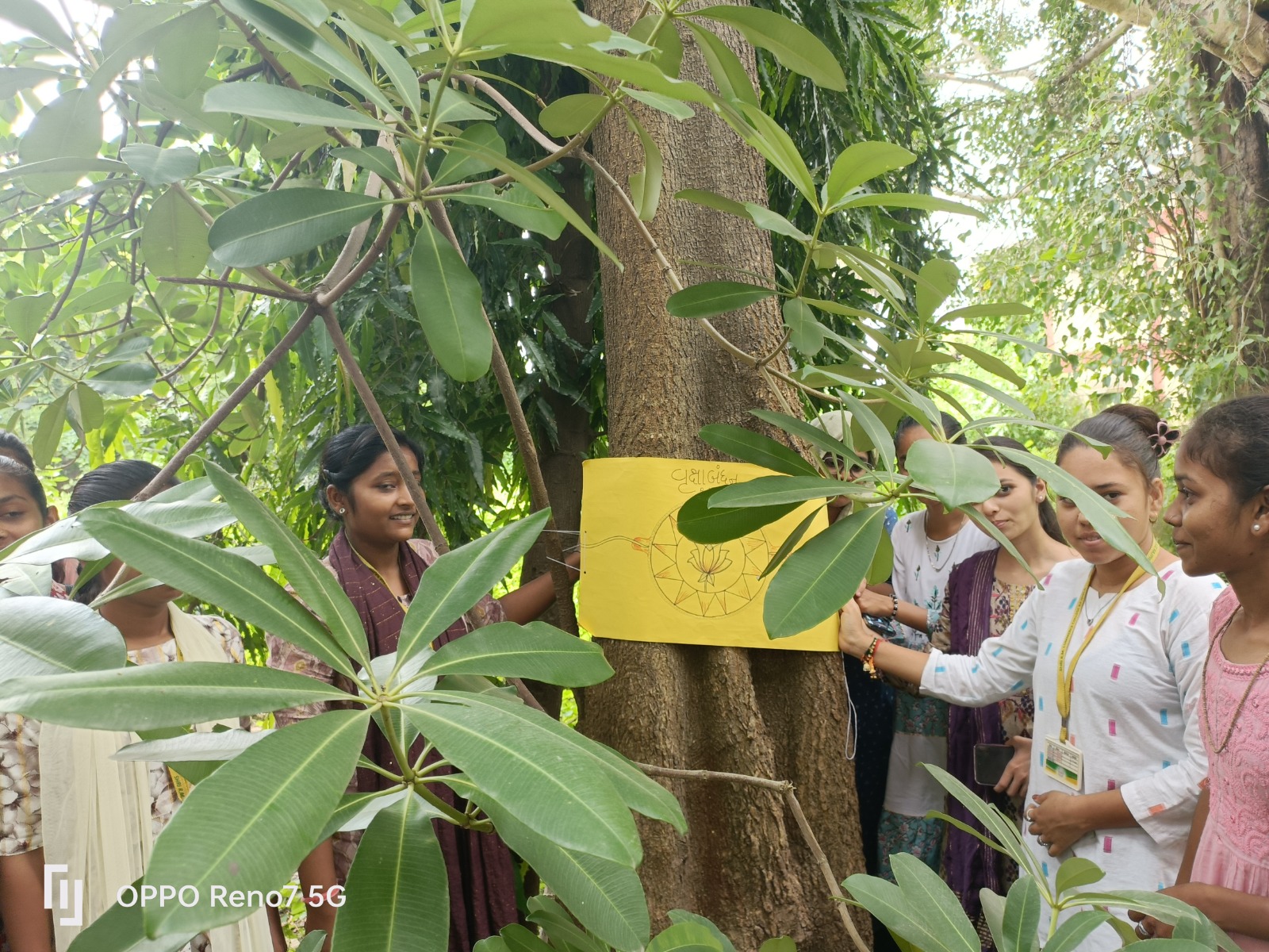 Activity 6bfb9284-51c4-42ae-aac9-6d22680f2306.jpg