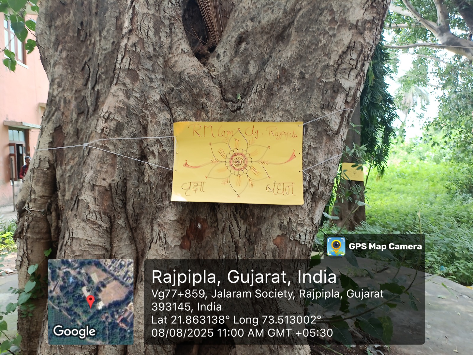 Activity 93c4d851-875b-4306-a239-ba72a6510e04.jpg